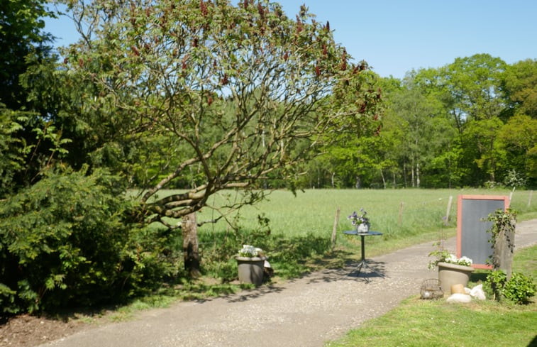 Natuurhuisje in Warnsveld