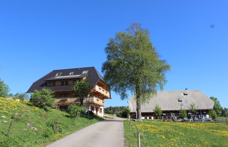 Natuurhuisje in Hinterzarten