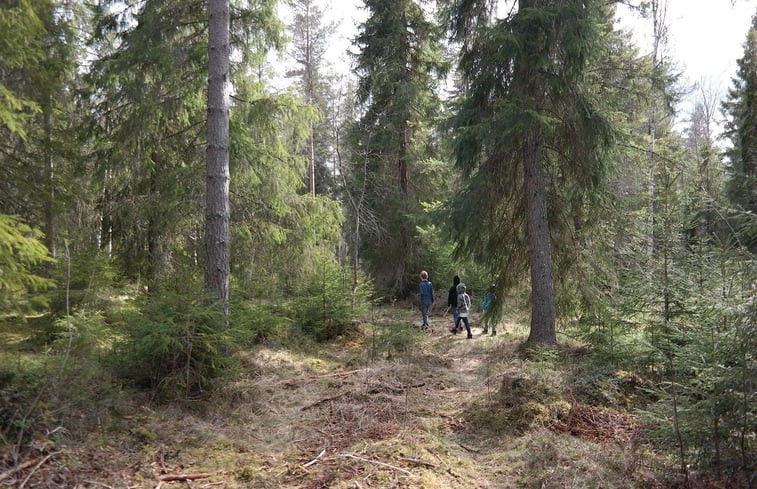 Natuurhuisje in Furudal