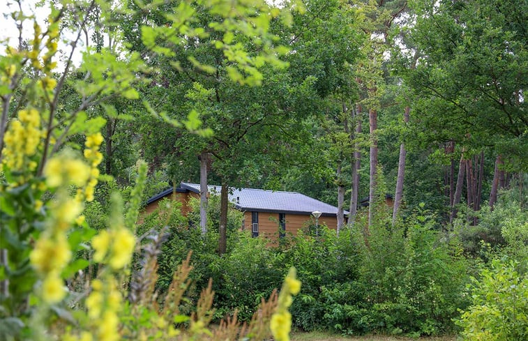 Natuurhuisje in Lemele