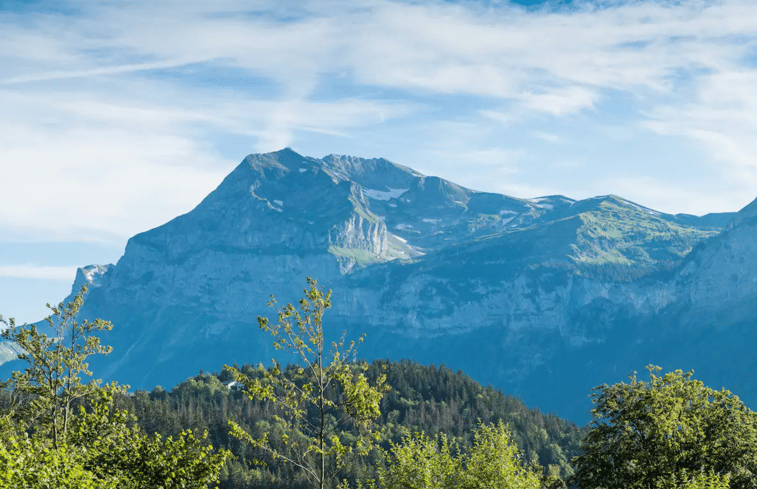 Natuurhuisje in Araches-La-Frasse