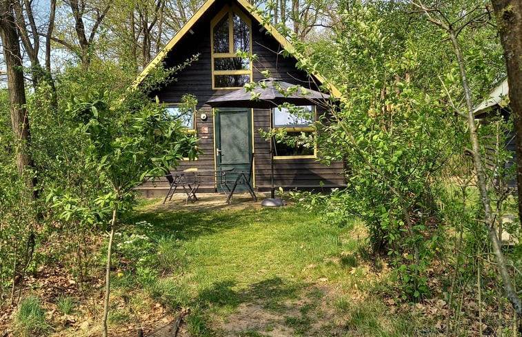 Natuurhuisje in Bergeijk