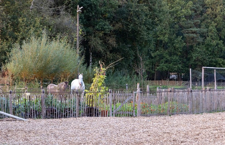 Natuurhuisje in Oelegem