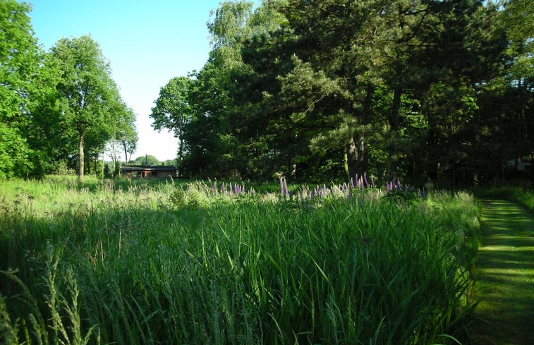 Natuurhuisje in Olmen