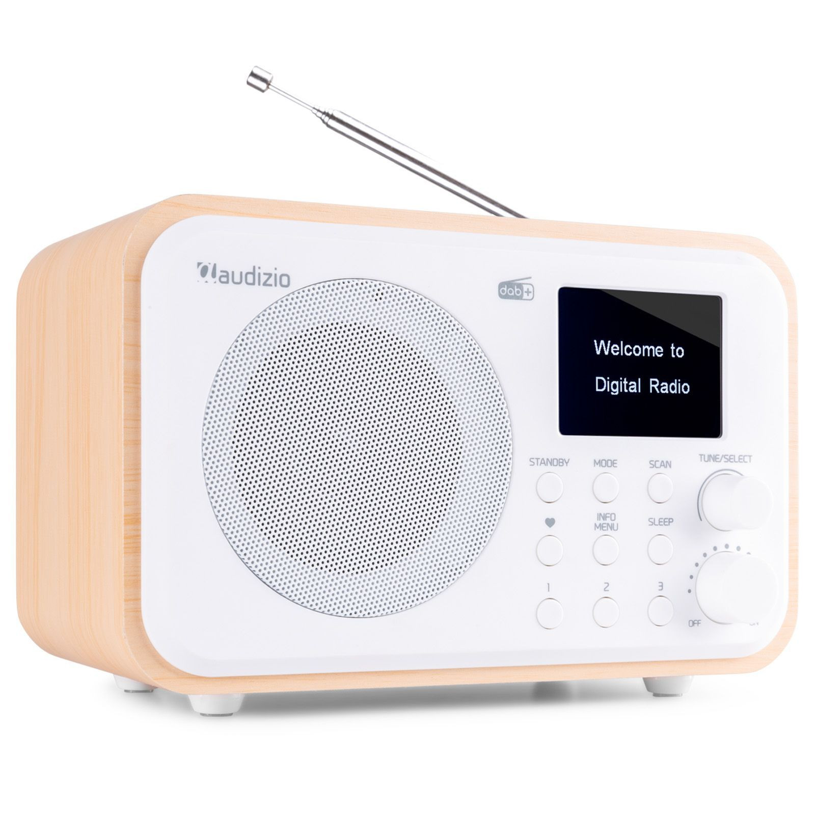 Audizio Milan draagbare DAB radio met Bluetooth, FM radio en accu -