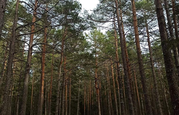 Natuurhuisje in St.Georgen