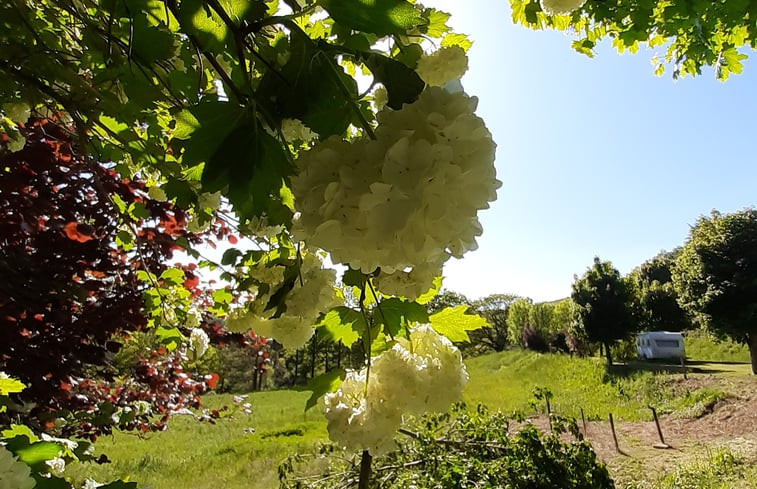 Natuurhuisje in Nages