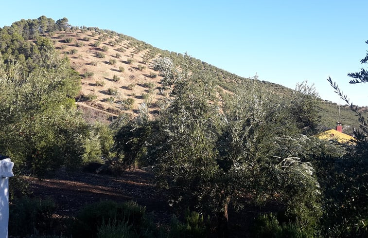 Natuurhuisje in Las Navas (Priego de Cordoba)