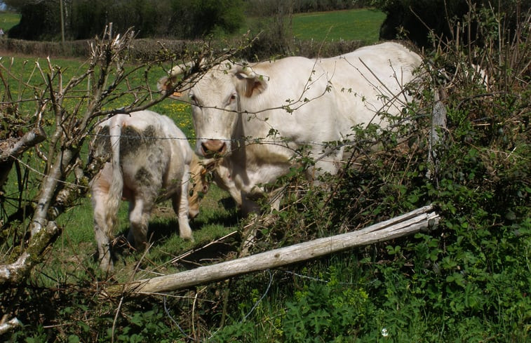 Natuurhuisje in Arleuf