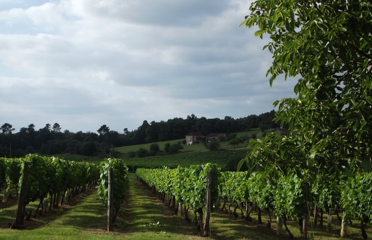 Natuurhuisje in Sauveterre La Lemance