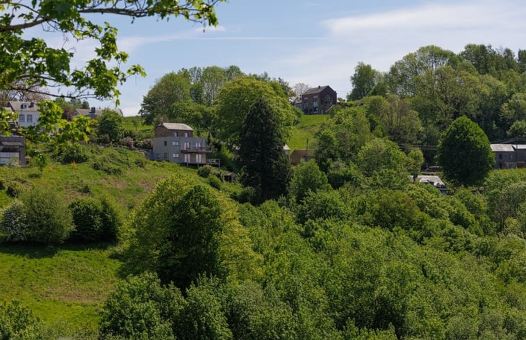 Natuurhuisje in Rochehaut