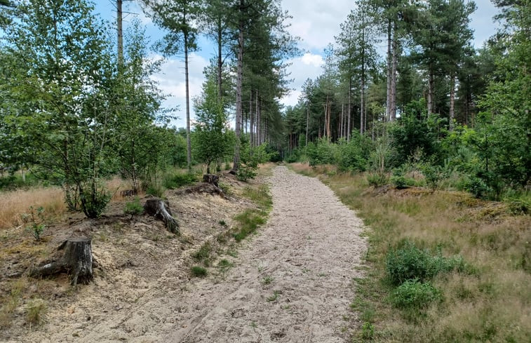 Natuurhuisje in Wechelderzande