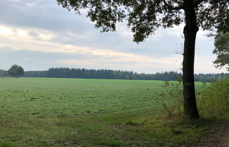 Natuurhuisje in Zelhem