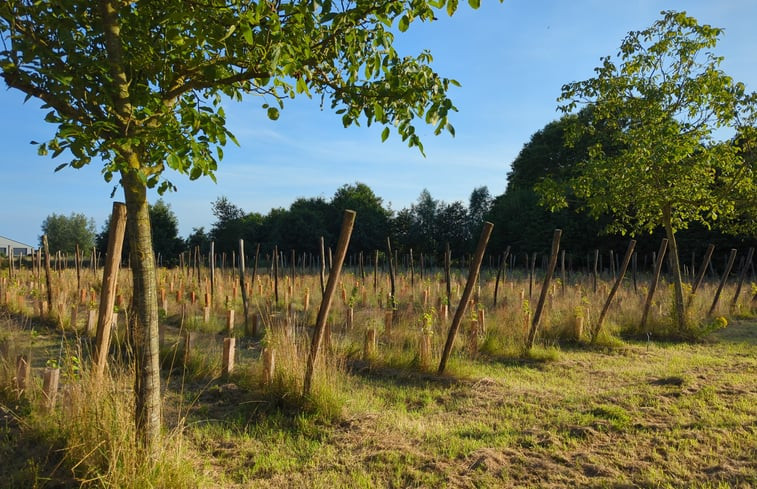 Natuurhuisje in Hooge Zwaluwe