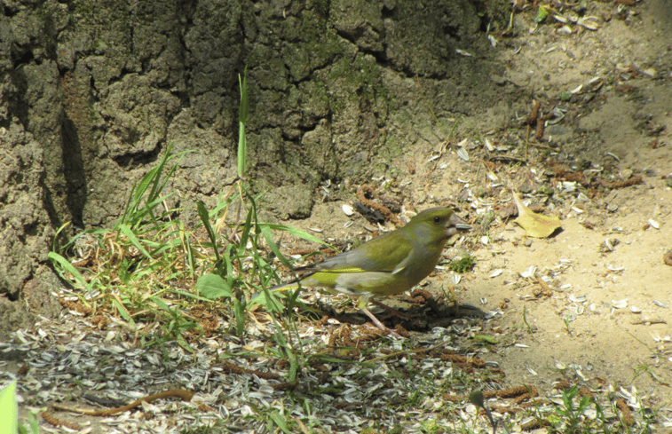 Natuurhuisje in Markelo