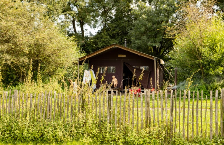 Natuurhuisje in Ophemert