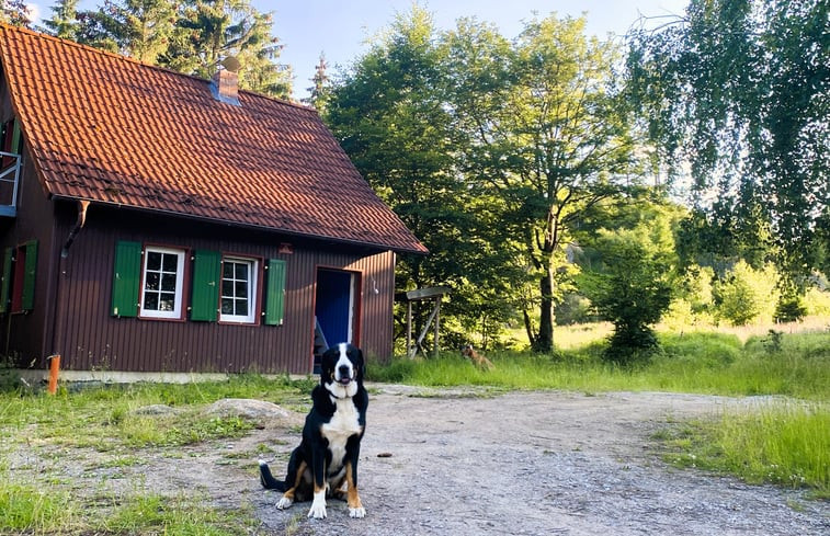 Natuurhuisje in Wernigerode