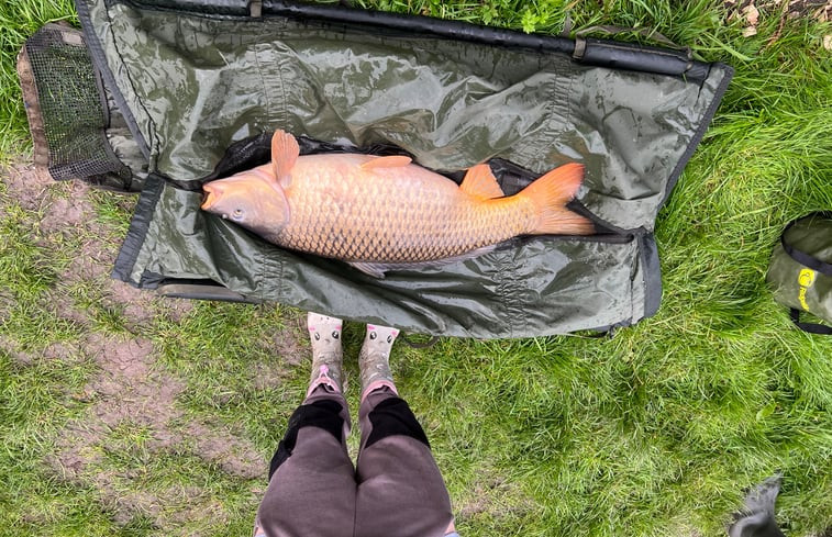 Natuurhuisje in Rumpt