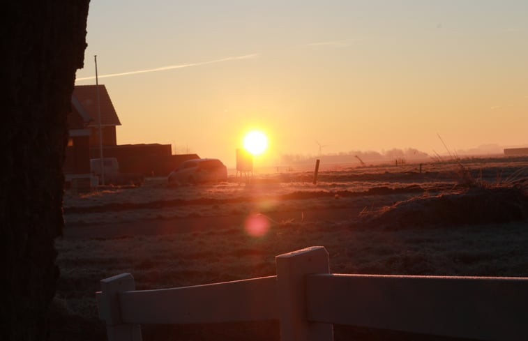 Natuurhuisje in Harlingen