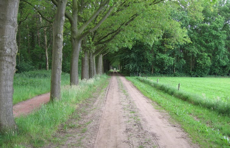 Natuurhuisje in Diepenheim