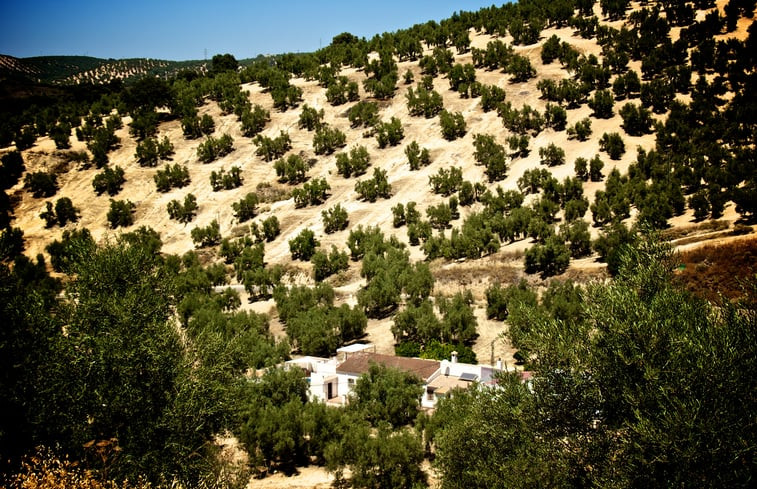 Natuurhuisje in Villanueva de Algaidas