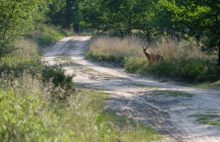 Natuurhuisje in Epe Veluwe