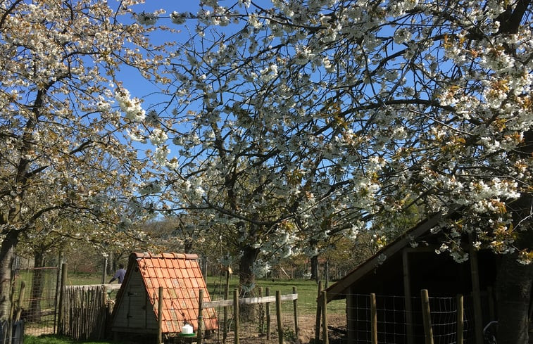 Natuurhuisje in Heks - Heers