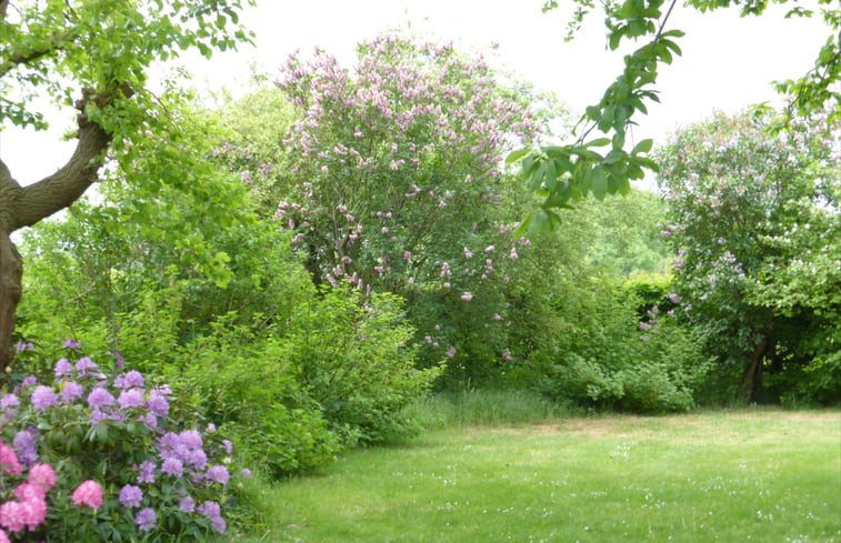 Natuurhuisje in Mill