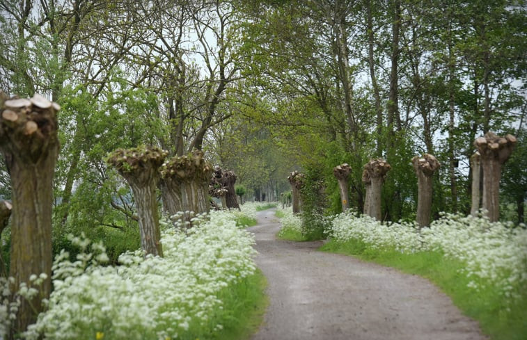 Natuurhuisje in Streefkerk