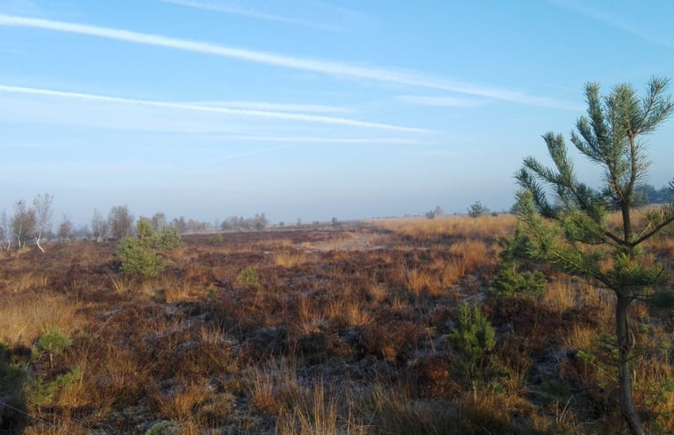 Natuurhuisje in Ruinen