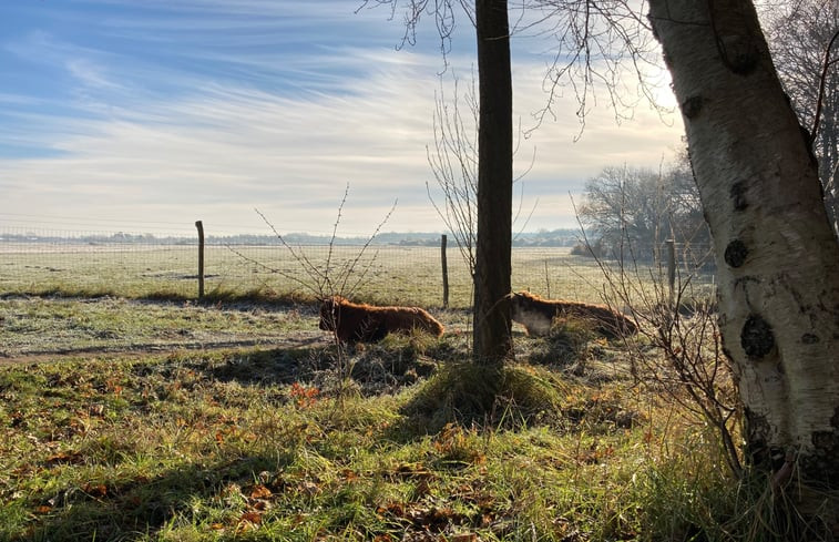 Natuurhuisje in Egmond- Binnen