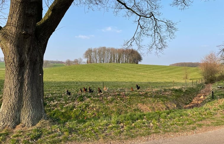 Natuurhuisje in Groesbeek