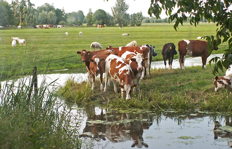 Natuurhuisje in Woerden