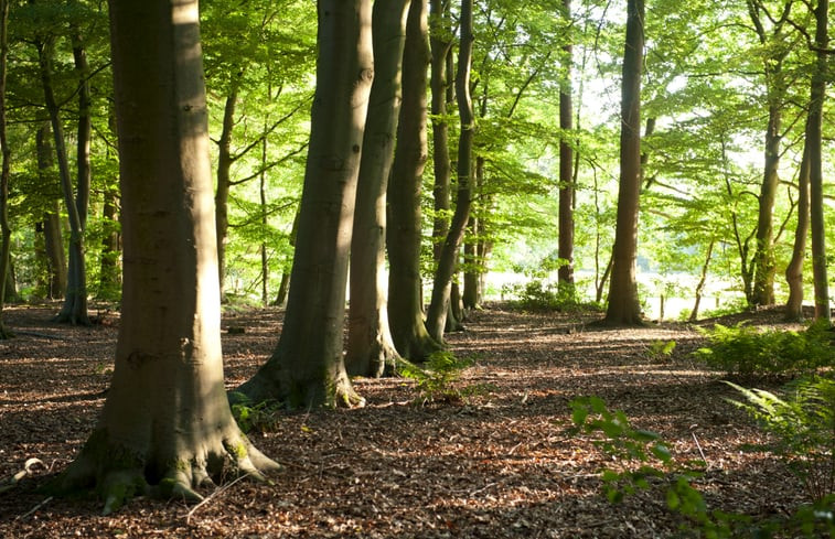 Natuurhuisje in Tubbergen