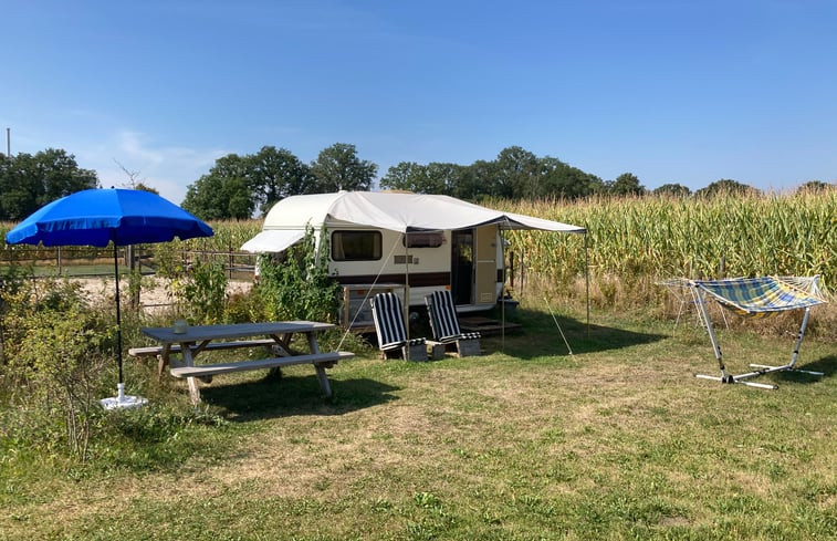 Natuurhuisje in Halle