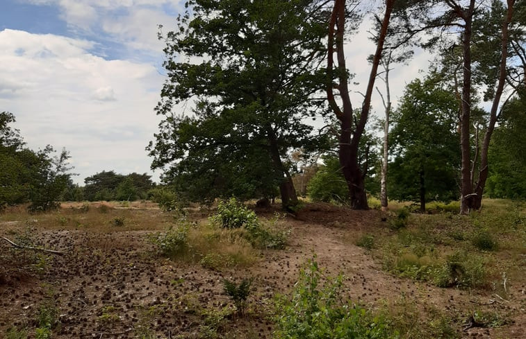 Natuurhuisje in Beerze