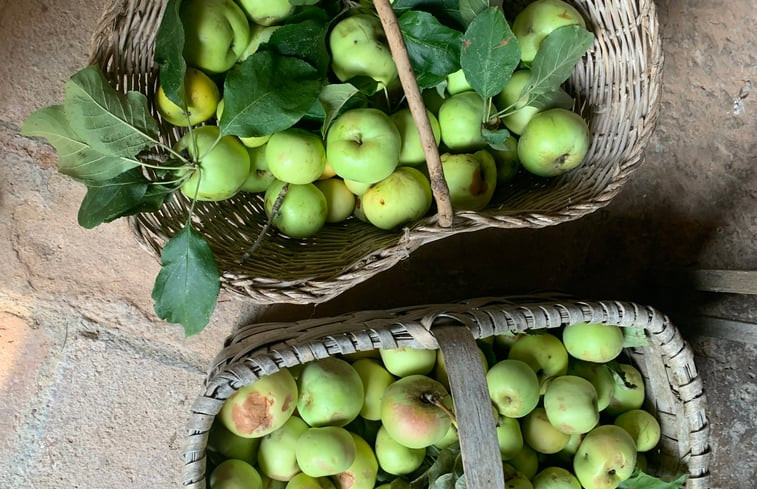 Natuurhuisje in Podere Capannacce