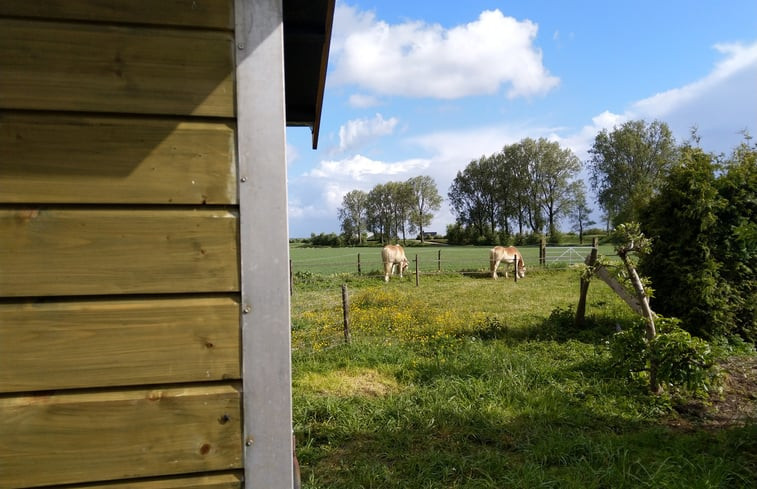 Natuurhuisje in Ooltgensplaat