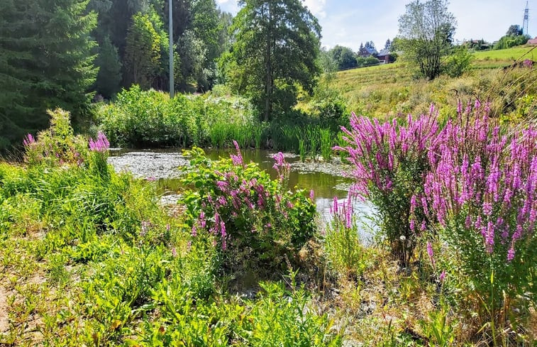 Natuurhuisje in Neuhaus an der Eger