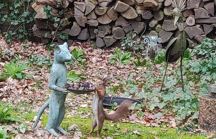 Natuurhuisje in Norg