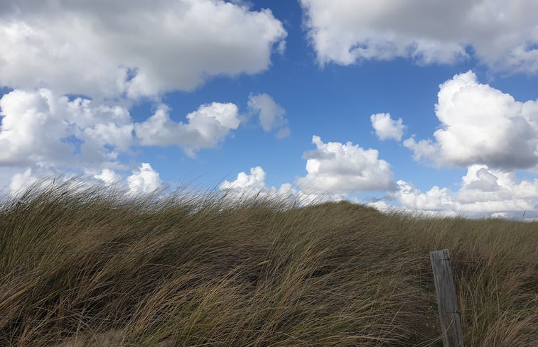 Natuurhuisje in Oudesluis