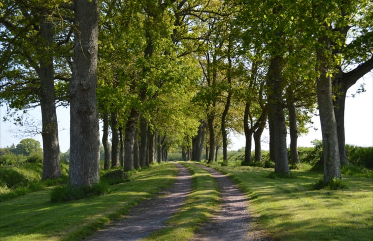 Natuurhuisje in saint sauveur village