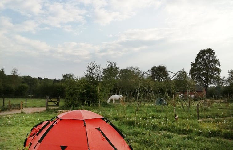 Natuurhuisje in Lunteren