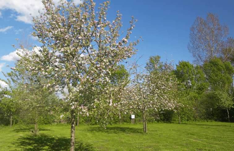 Natuurhuisje in Gemonde