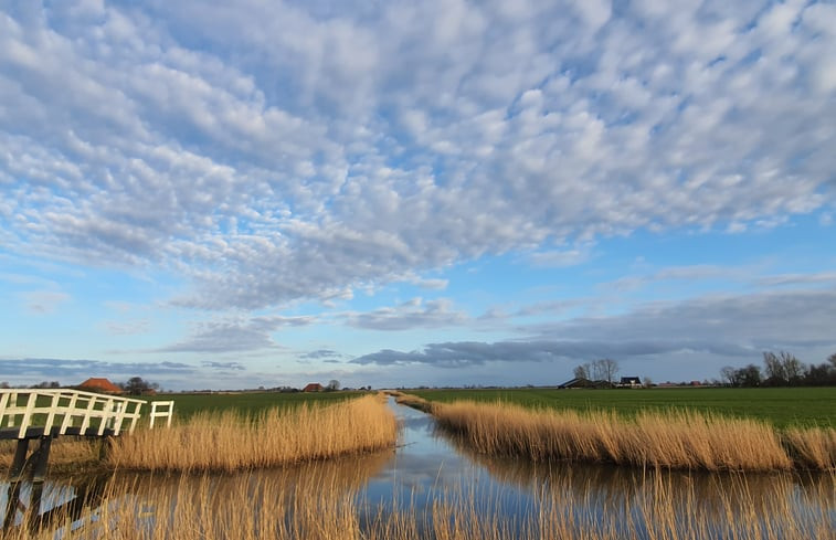 Natuurhuisje in Easterein (Oosterend)