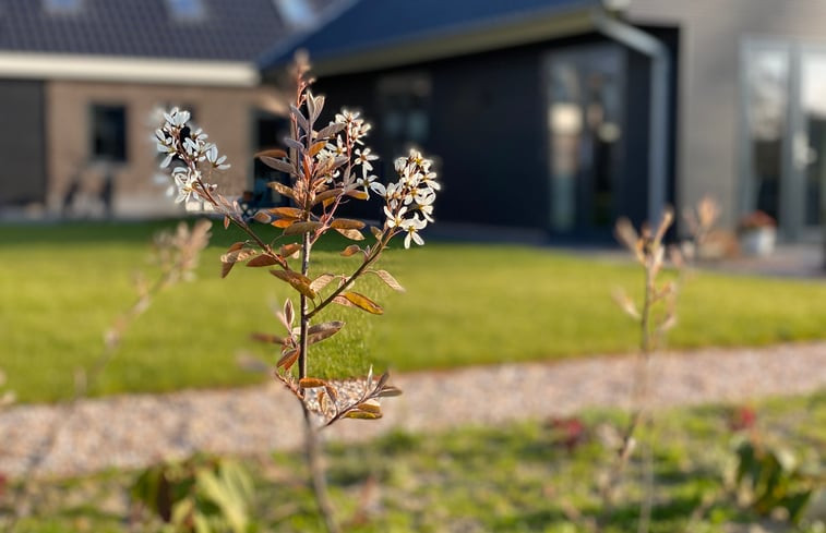 Natuurhuisje in Koudekerke (omgeving Dishoek)