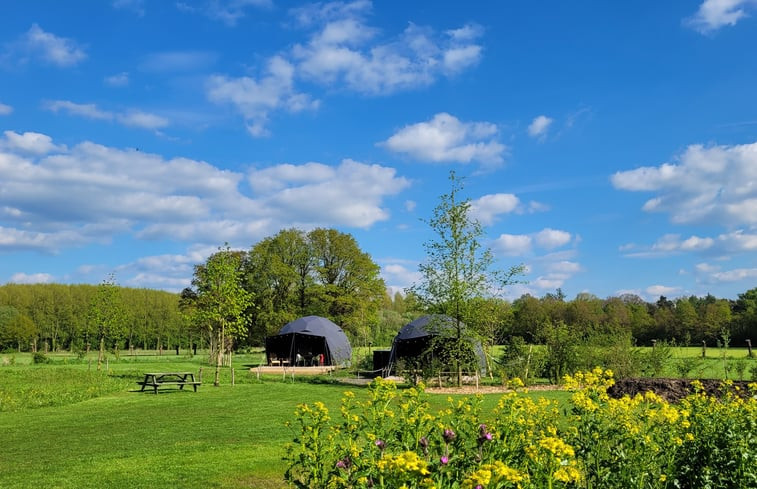 Natuurhuisje in Ruurlo