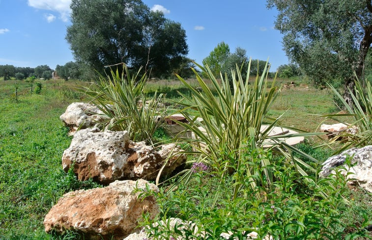 Natuurhuisje in MARTANO