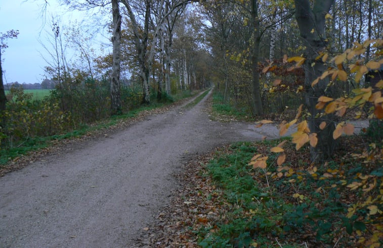 Natuurhuisje in Halle