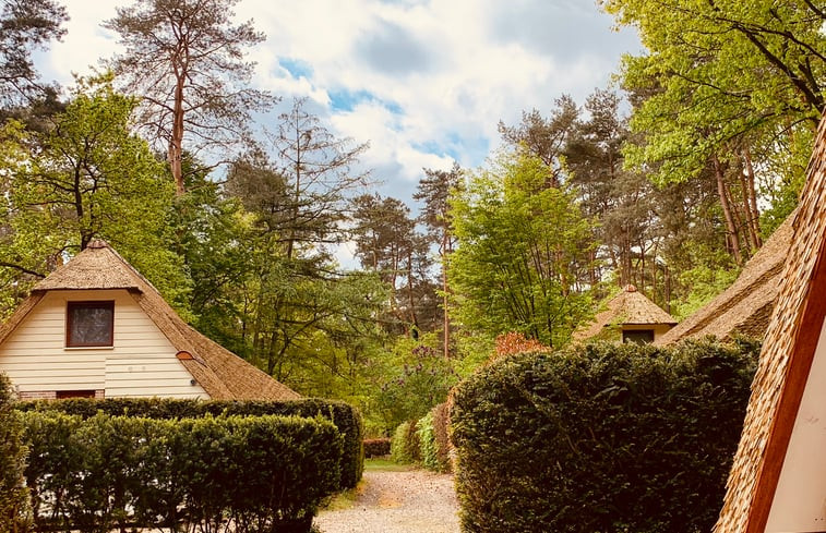 Natuurhuisje in Rekem